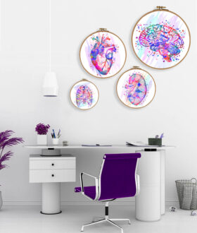 Pack de 4 Tableaux Tambours à Broder Décoratifs –  d'art d'anatomie - style Aquarelle